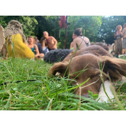 Frühlings Wesentreffen 2026